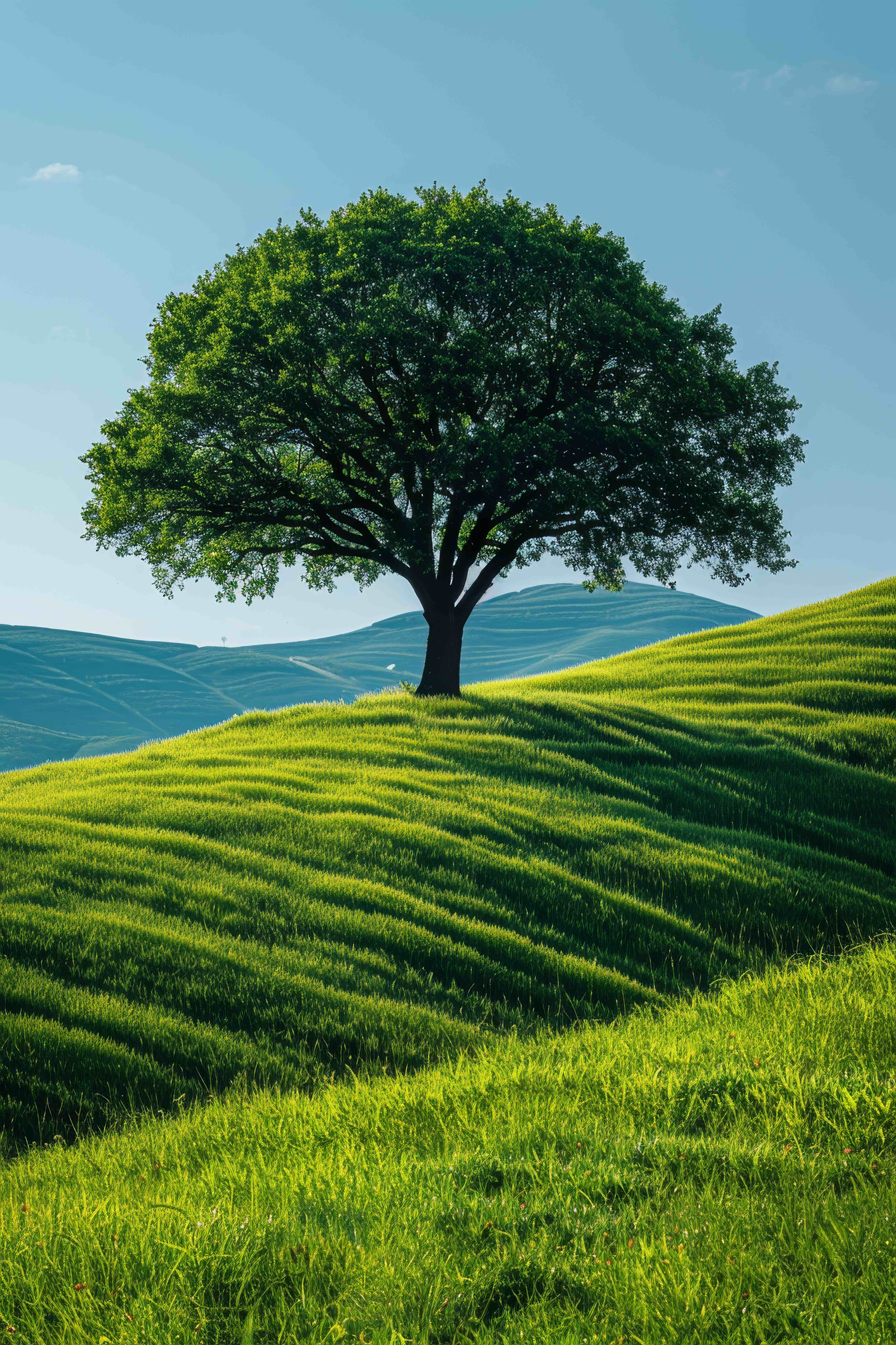 Nature Background